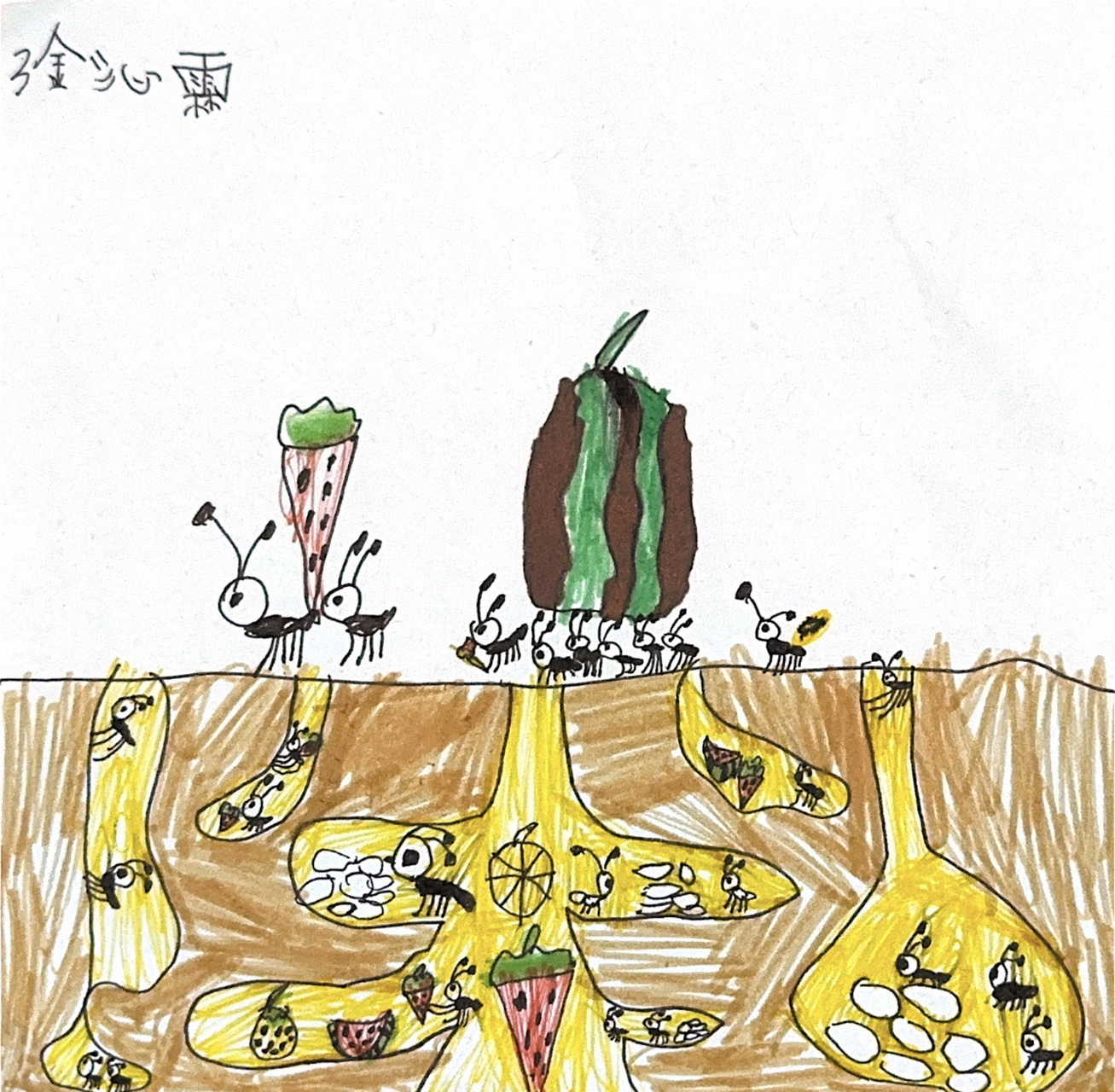 蚂蚁的地下洞穴 蚂蚁的地下王国 美术 绘画 幼儿园大班