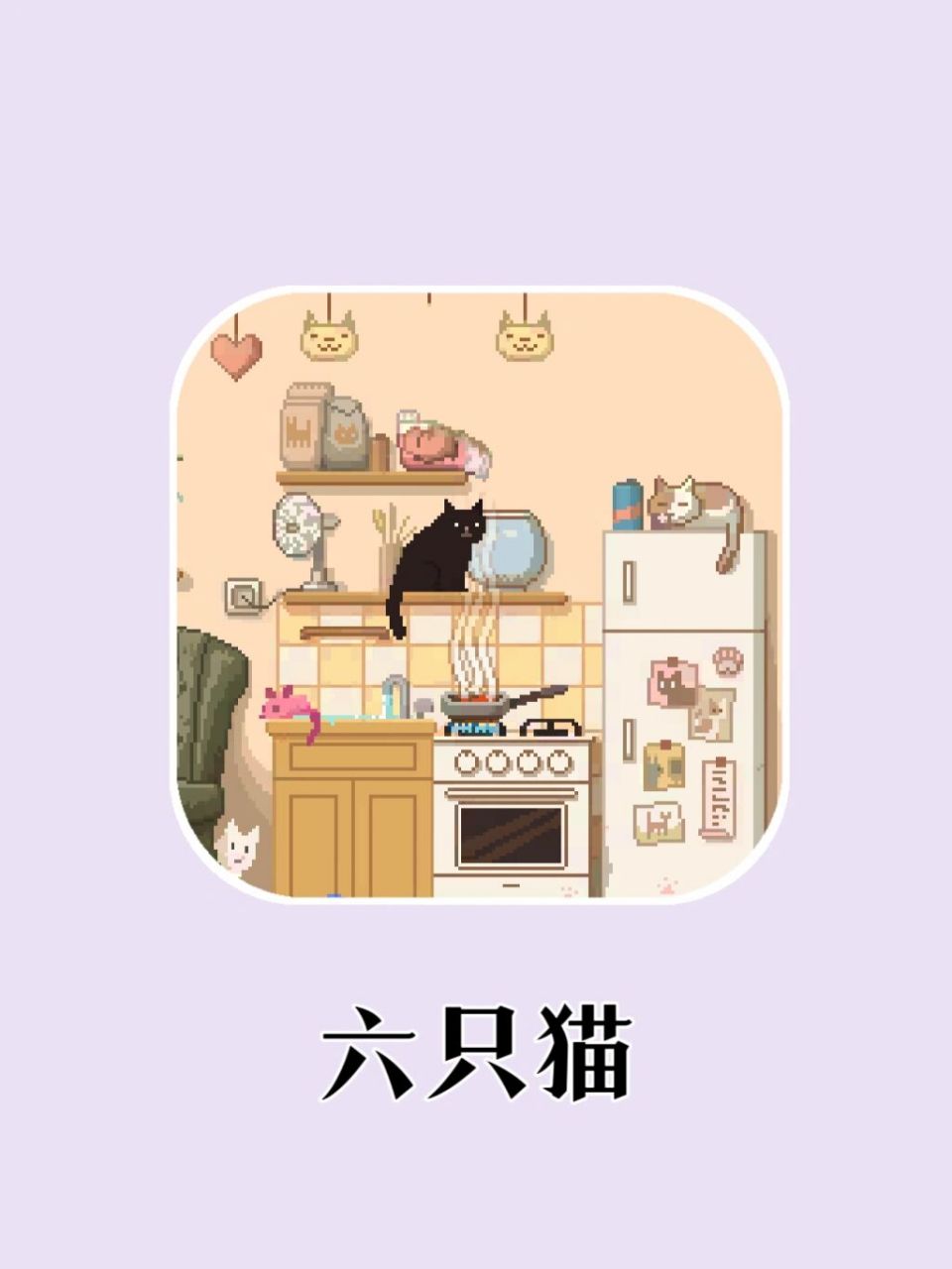 六只猫抖音=六只猫叫什么名字