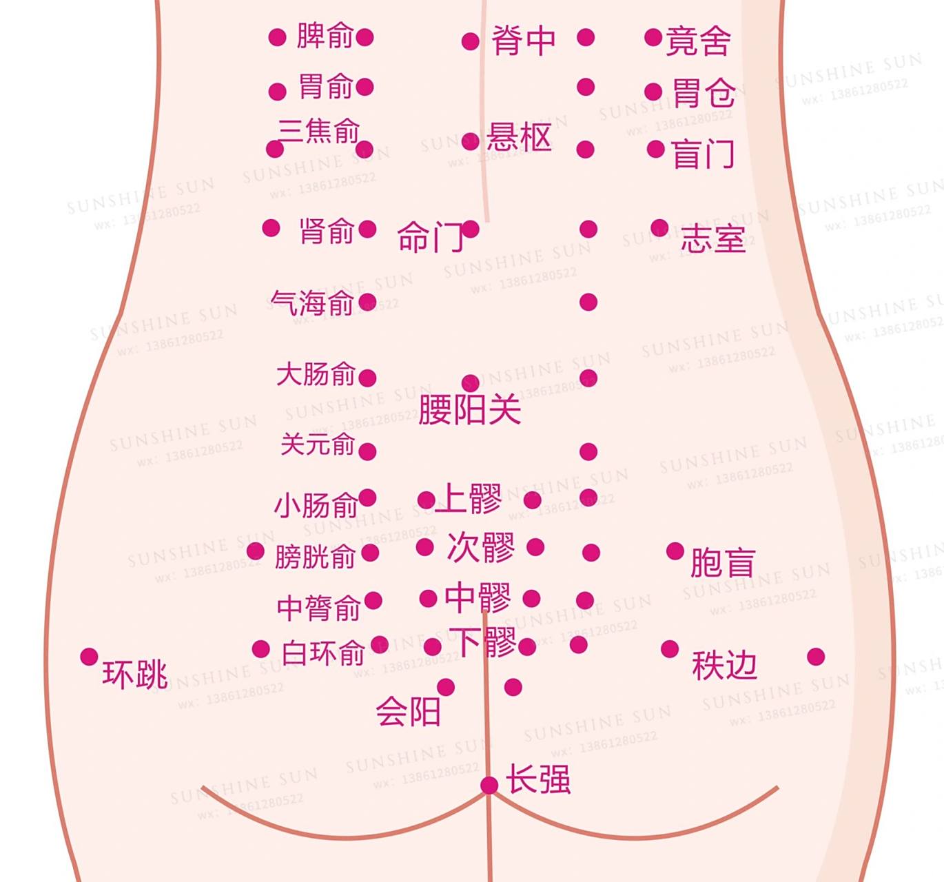 皮肤管理 肾部穴位 经络讲解图