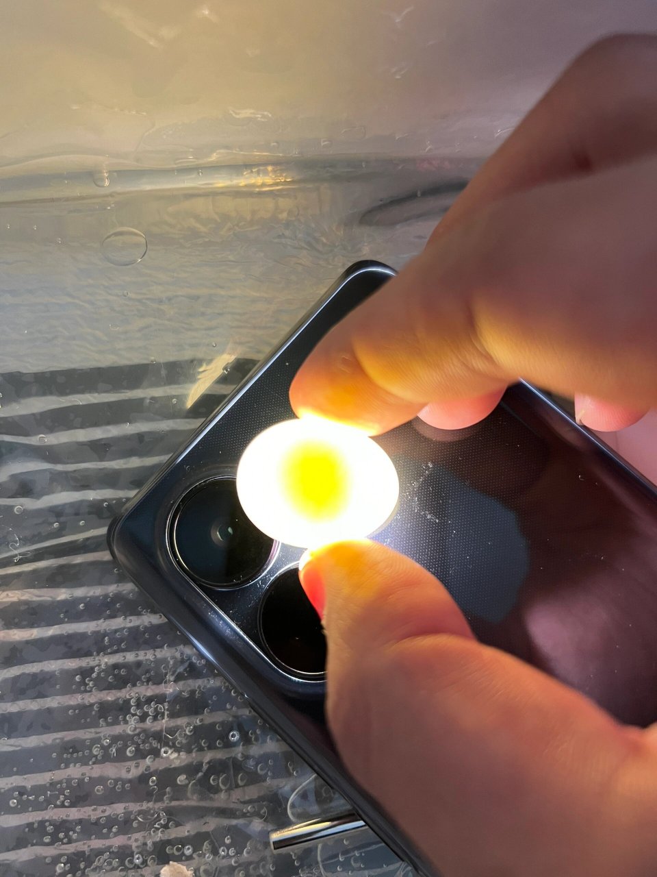 自己动手孵化玄凤鹦鹉(三) 6月1日开始入孵的,今日开盲盒更新,三枚