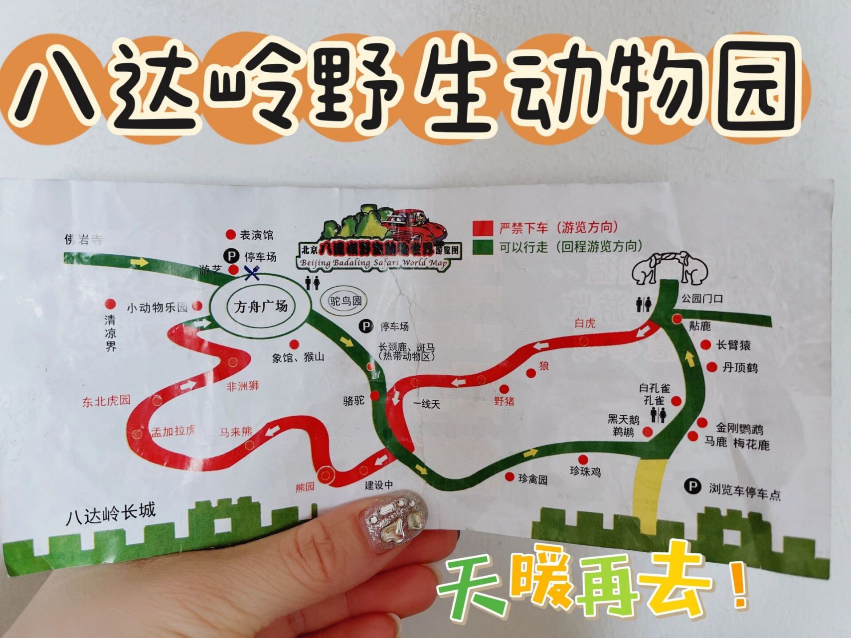 北京遛娃|八达岭野生动物园,遛娃攻略77  94趁大好时光,开启遛娃