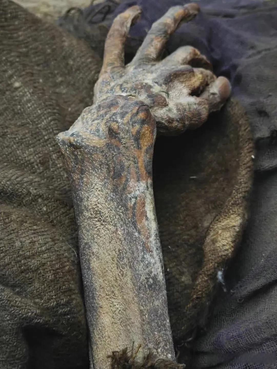 随然已过去了几千年但是依然可辨别手臂上的纹身图案!国创上头条