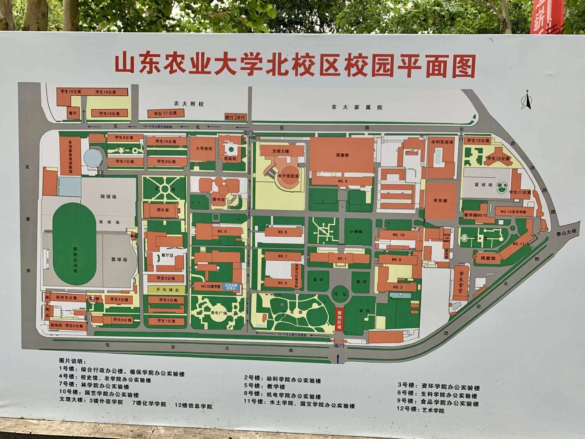 山东农业大学本部地图 艺院的可参考这个07