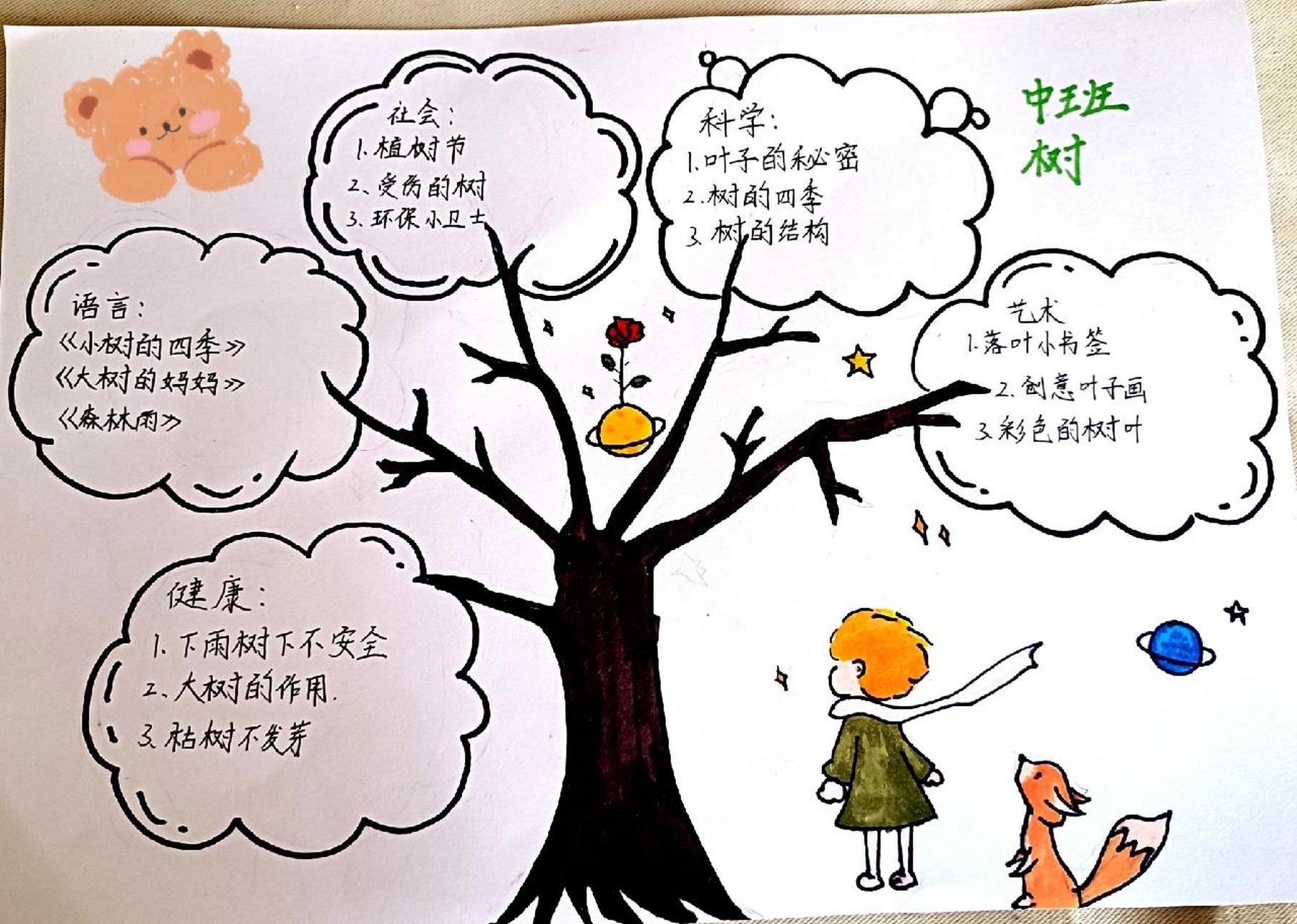 幼儿园树木主题网络图图片