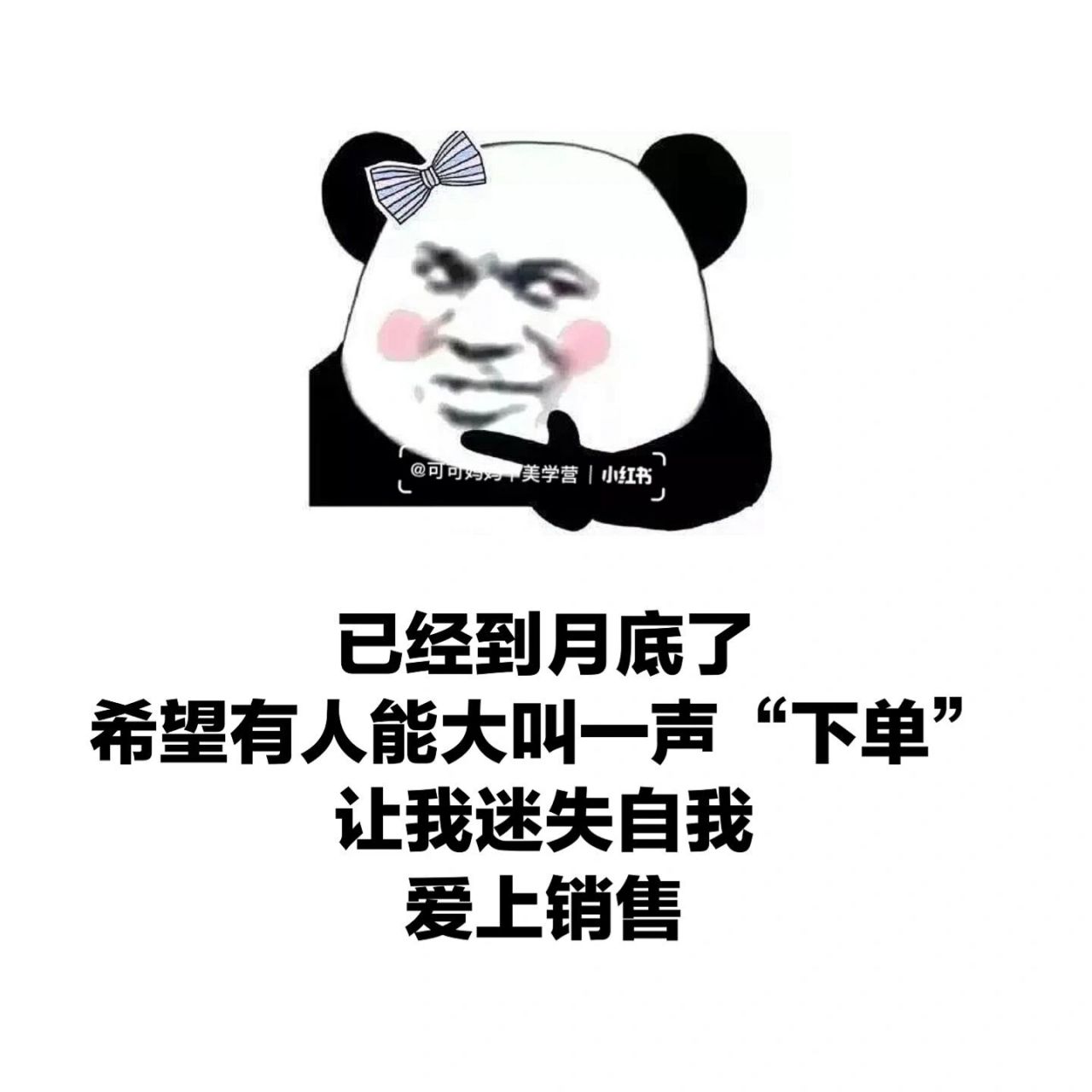 朋友圈幽默搞笑销售表情包 去奋斗,去追求,去发现,但不要放弃.早安!