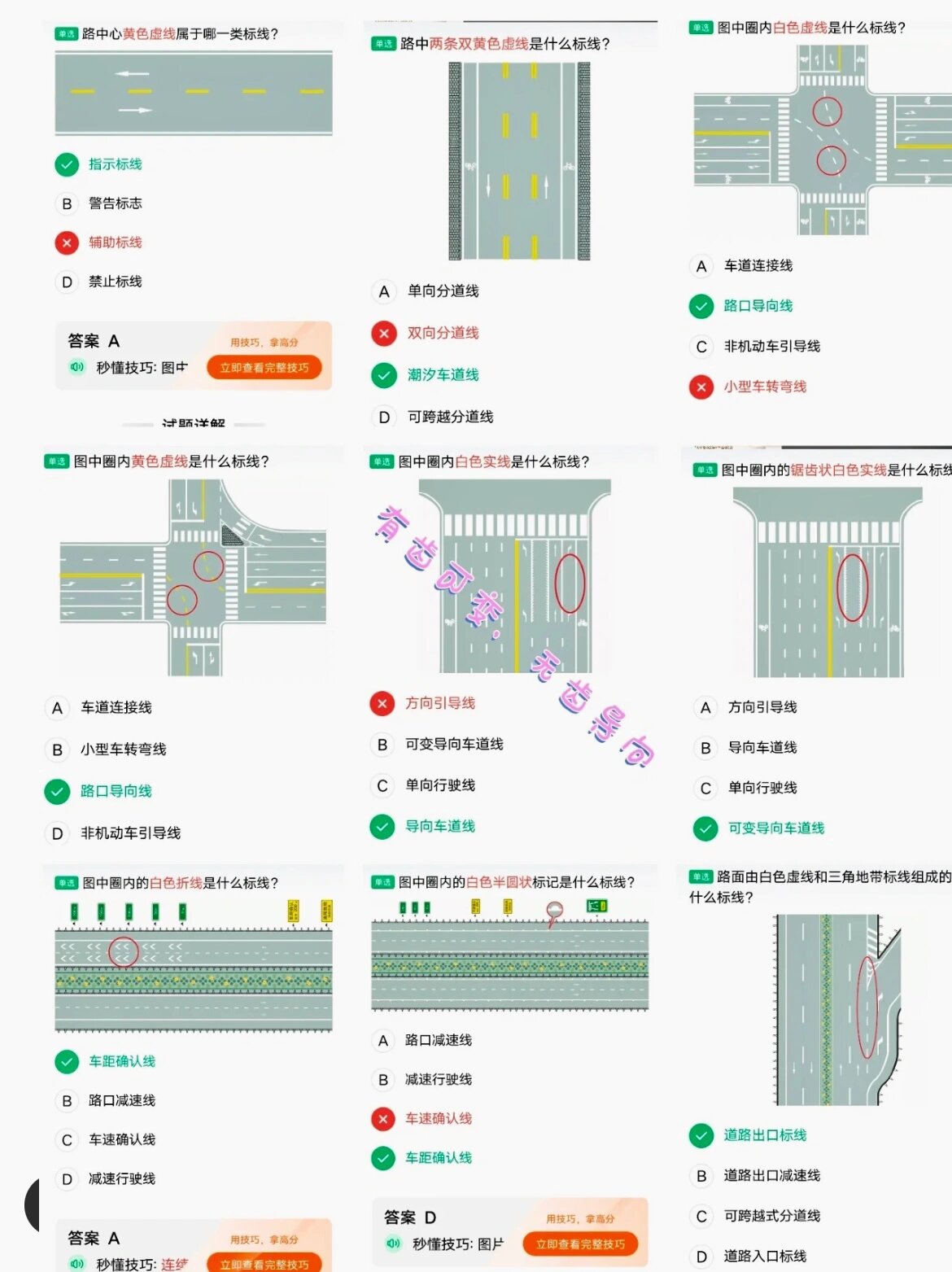 指示标线的作用是什么图片