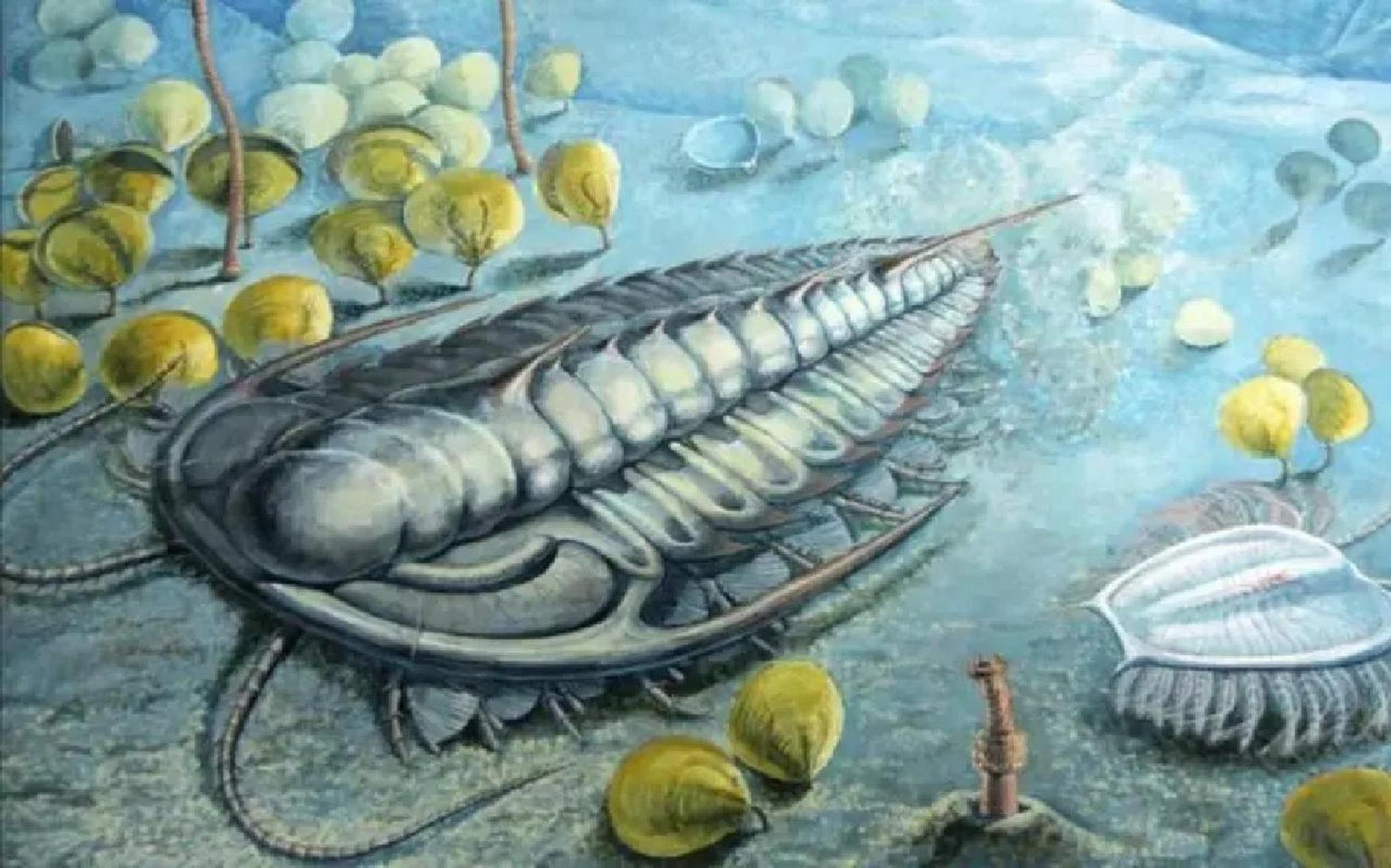 6亿年前寒武纪最具代表性的 生活时期:寒武纪.