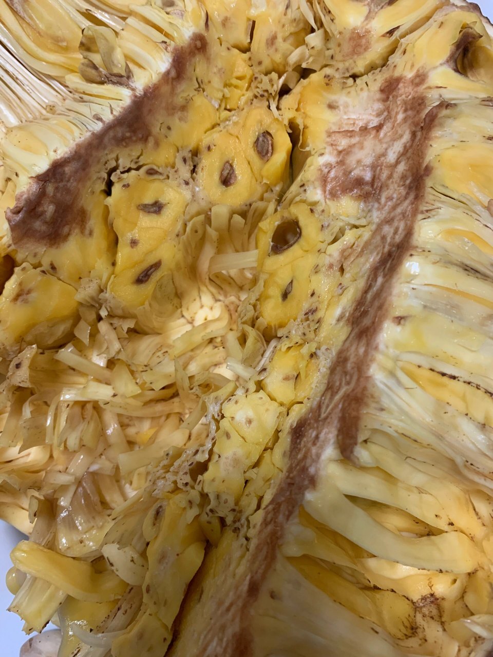 刚买的菠萝蜜里面有小黑点,是锈斑吗