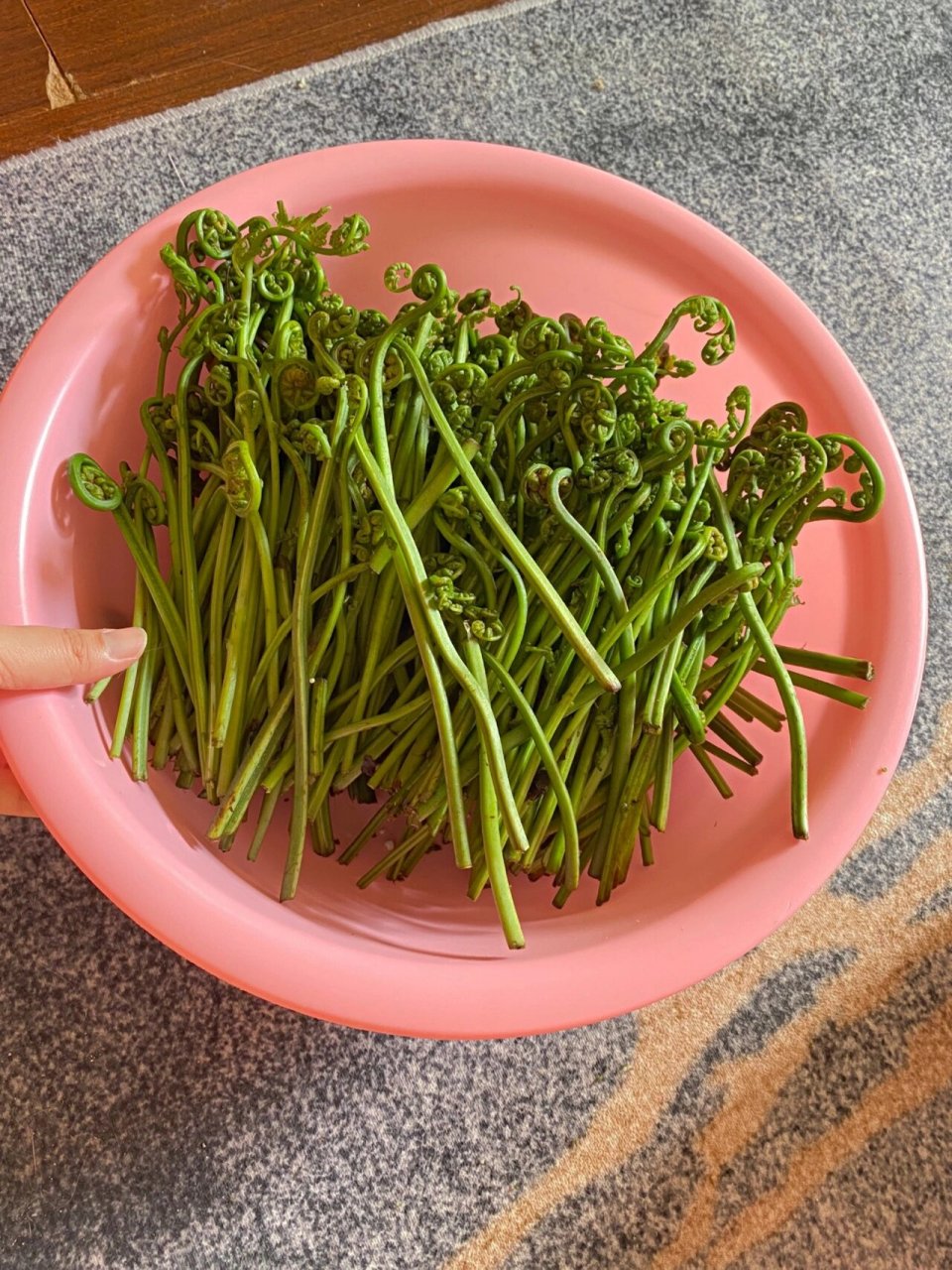 广西野菜,也叫水蕨菜,你们吃过吗?怎么煮