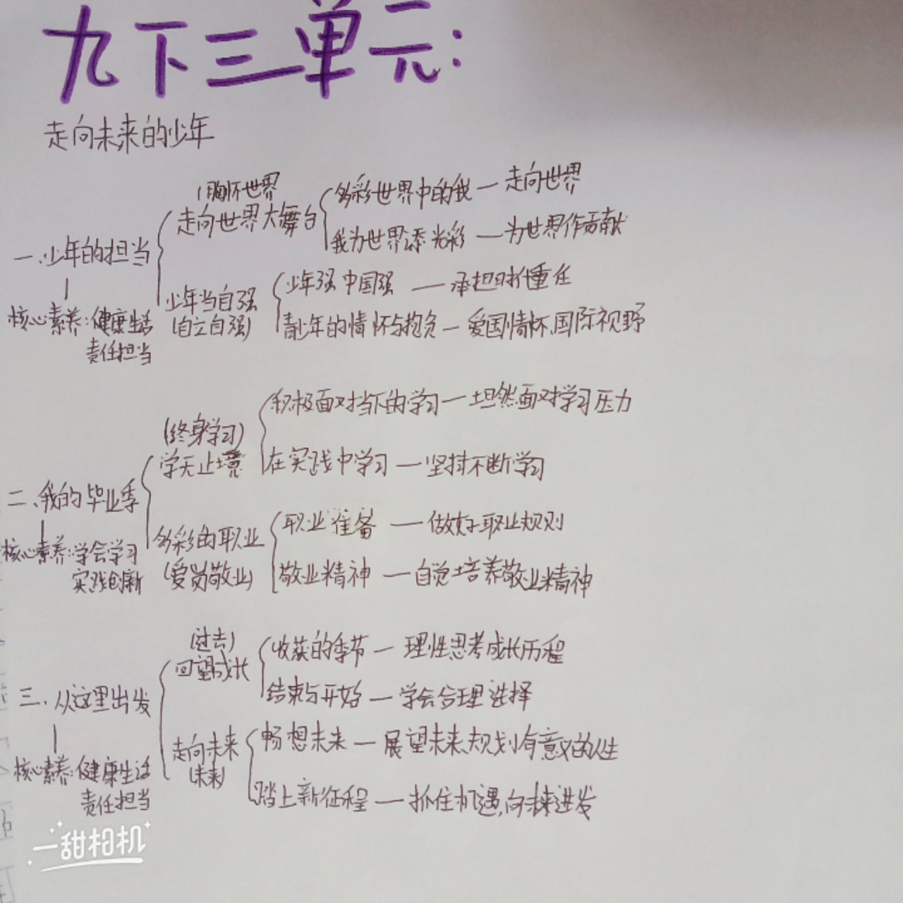 none 九下政治第三单元思维导图