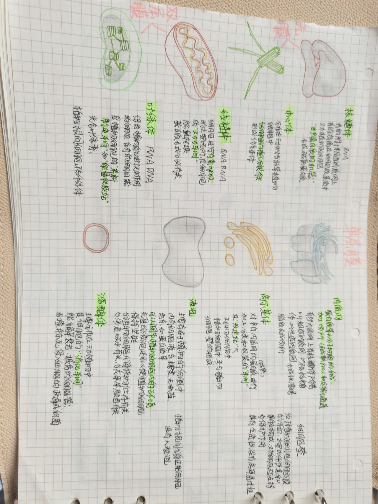 高一生物第三章 细胞的基本结构 思维导图