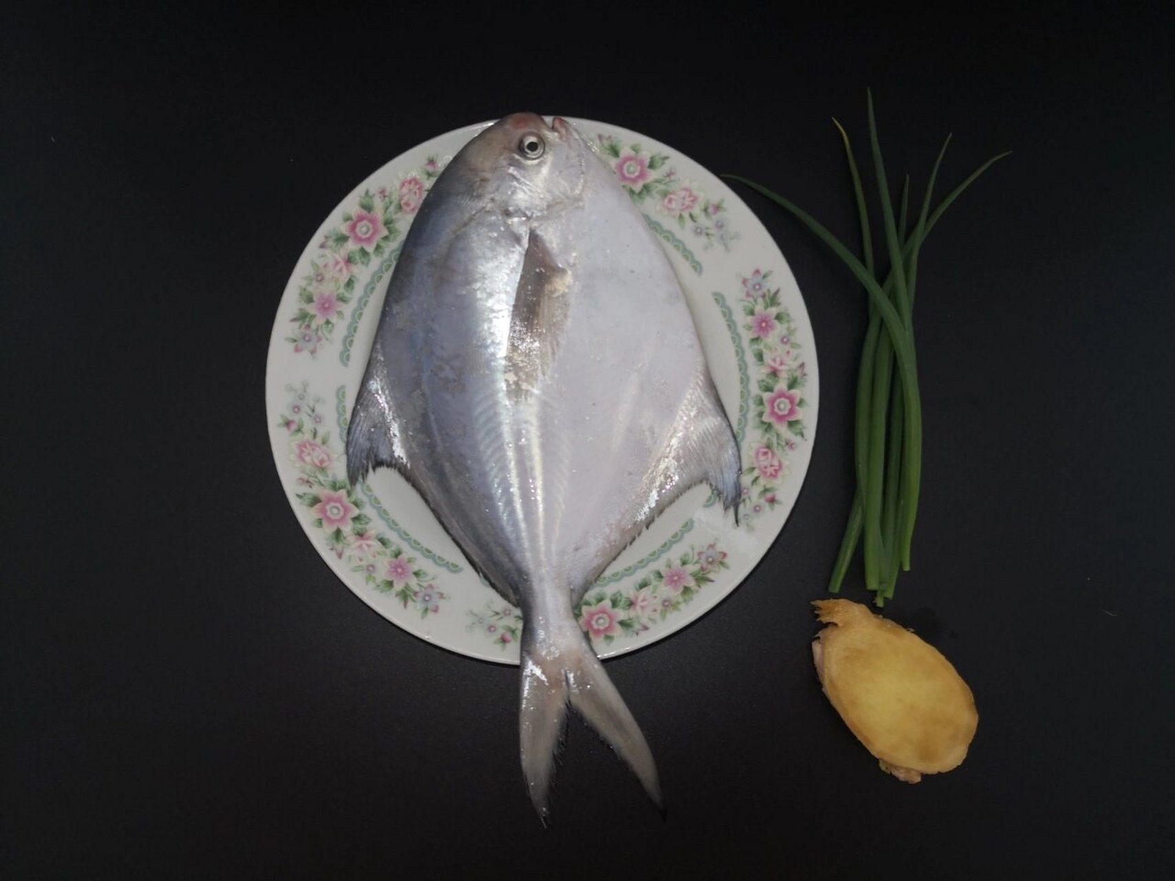 长度大概26cm 图中鲳鱼实际重量为6两3