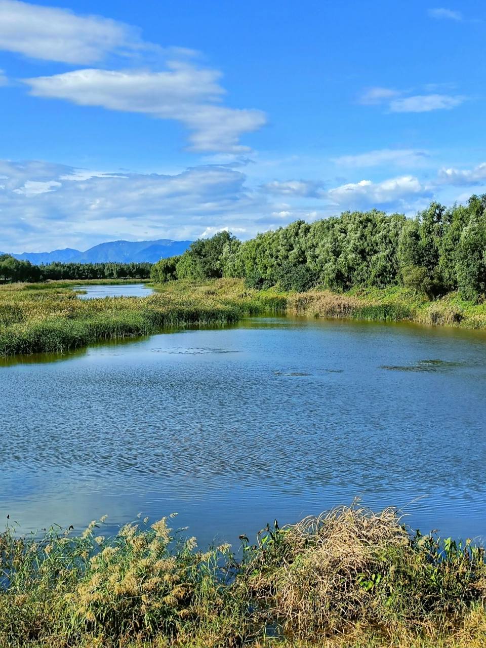 开车45分钟‖昌平沙河水库 免费的就是最棒哒 推荐指数781578