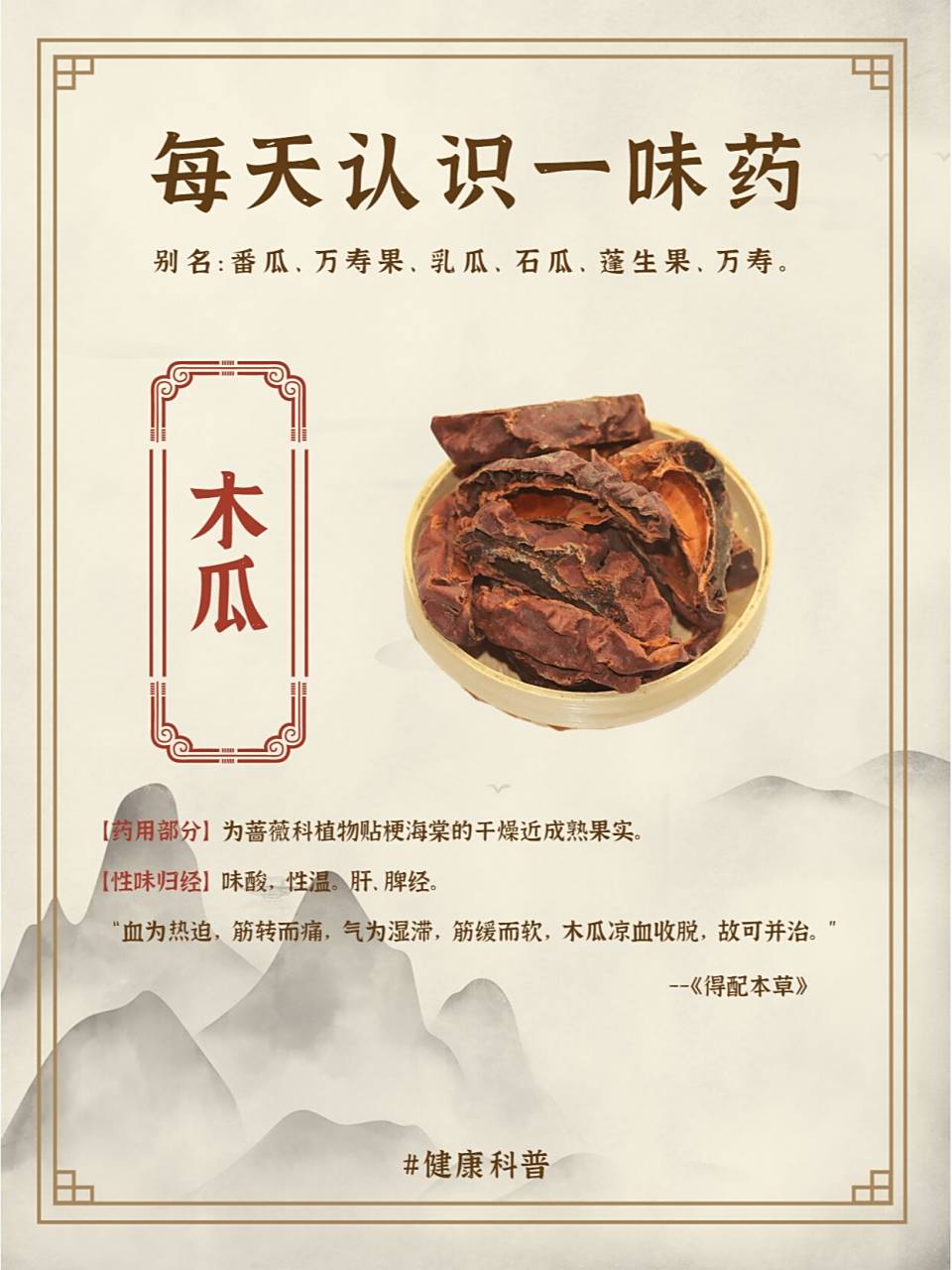 每天认识一味药——木瓜 名字由来:热带水果番木瓜科木瓜(番木瓜),为