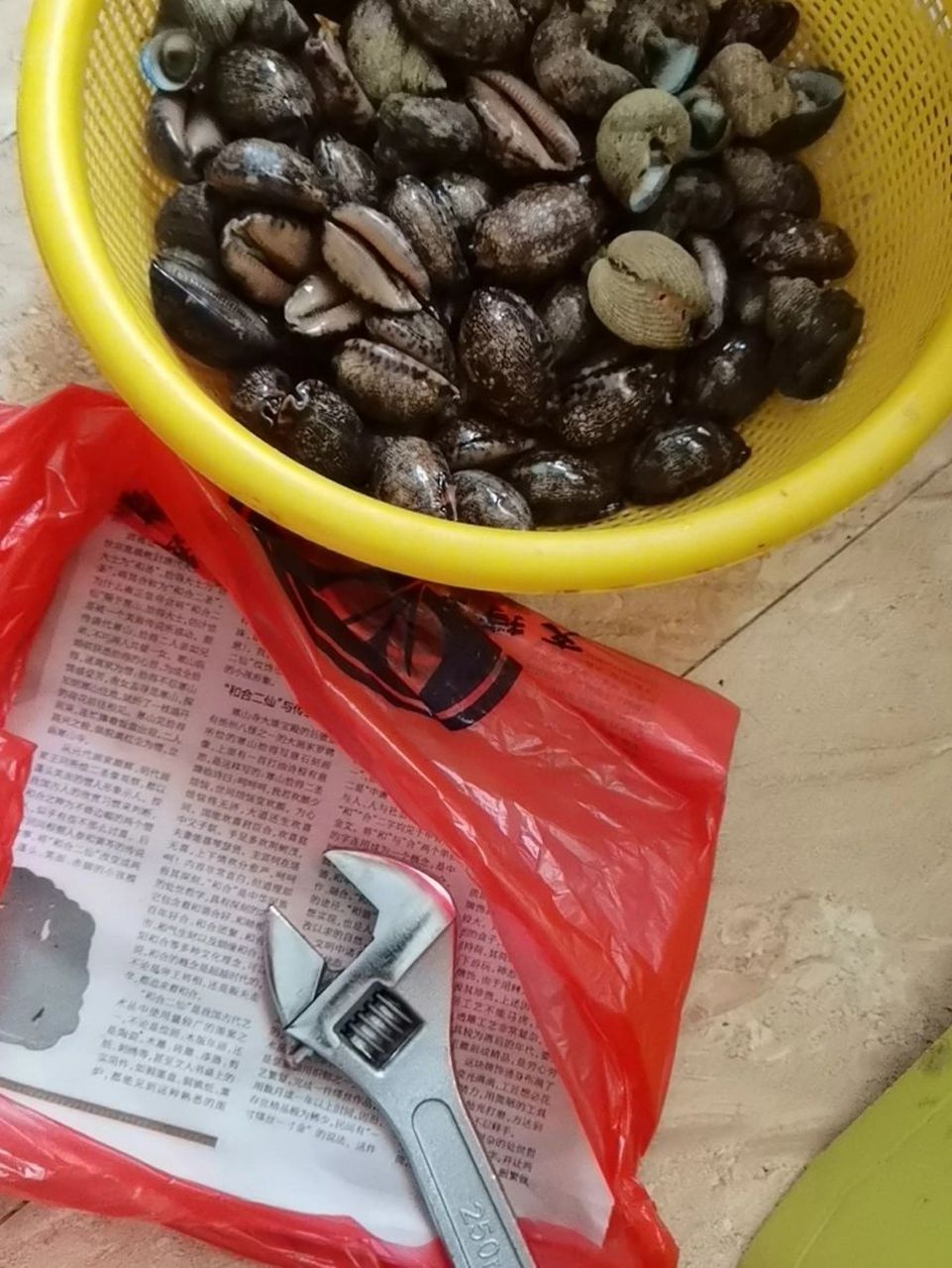 这个螺肉是超级好吃的 肉质很嫩～口感特别好～ 但是它的做法 加工