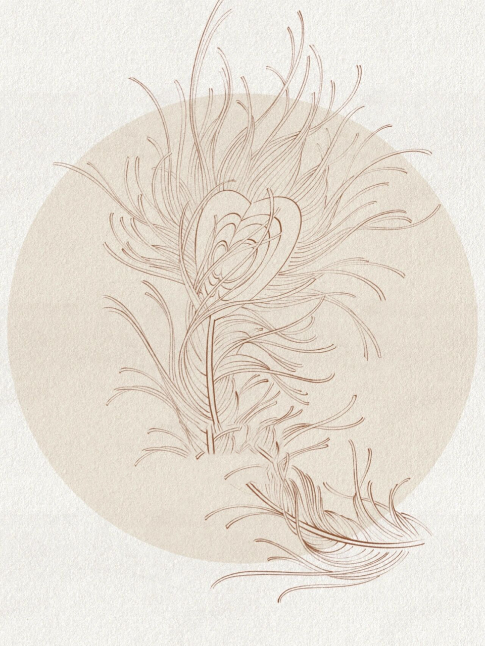 画一支凤凰尾羽94      纹身师日常绘画打卡 羽毛的画法 大家一起