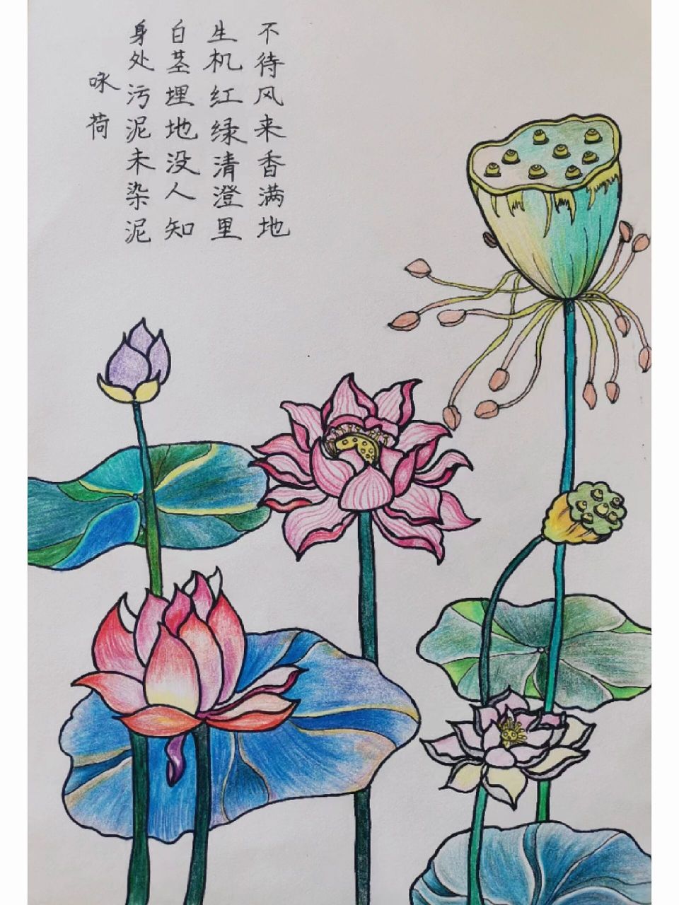 幼儿园老师以青莲为主题绘画