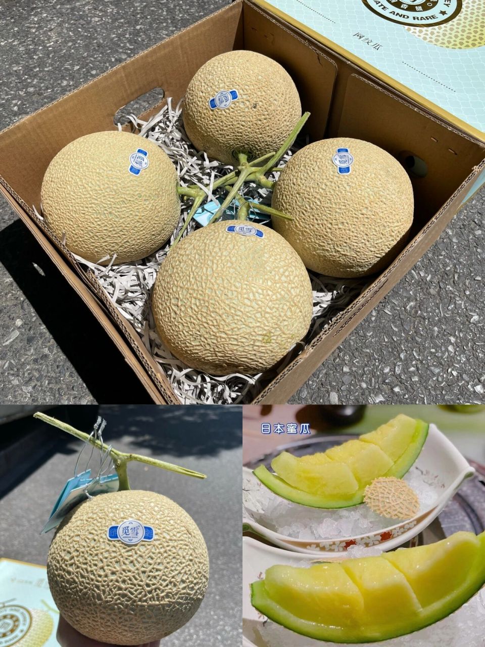 【觅雪静冈·顶级网纹瓜缔造者】90 大家可能不了解觅雪,这是我的错