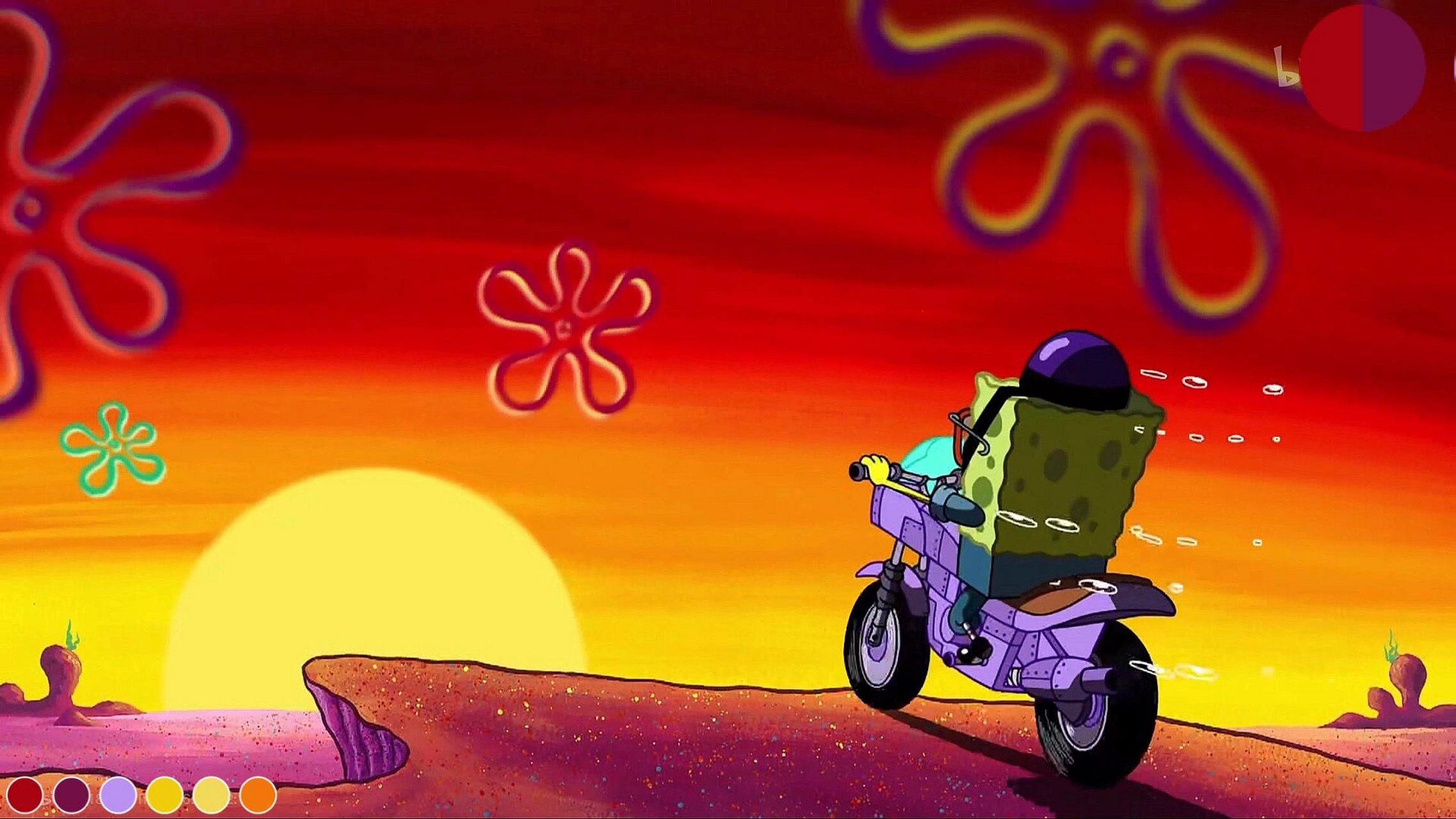 菠萝屋系列壁纸 菠萝屋,海绵宝宝骑机车,小蜗找海绵宝宝,派大星吃宠物