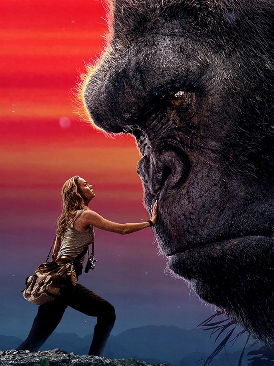 金刚是一只巨大的灵长类生物,外形类似于大猩猩,却拥有