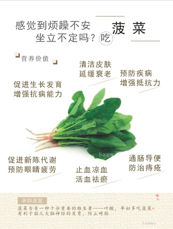 菠菜的营养价值