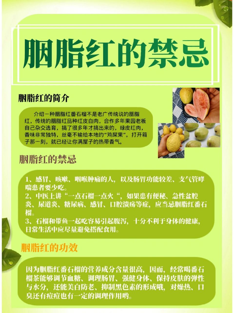 吃胭脂红番石榴有哪些禁忌99 78胭脂红的简介 介绍一种胭脂红番