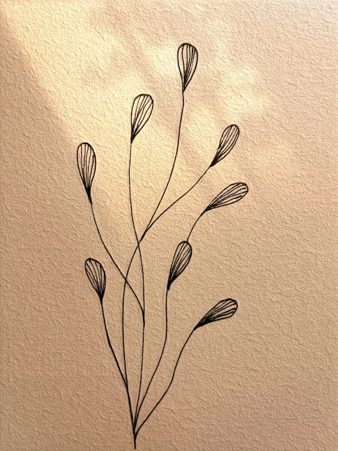 no.6 超简单的针管笔画,看了就会