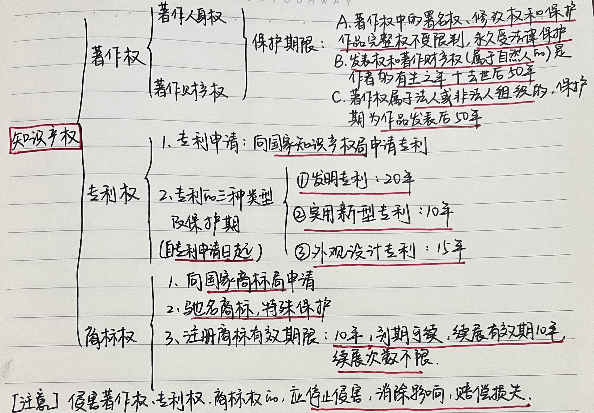 高中政治必修二易错点(高中政治必修二易错点总结)  第1张