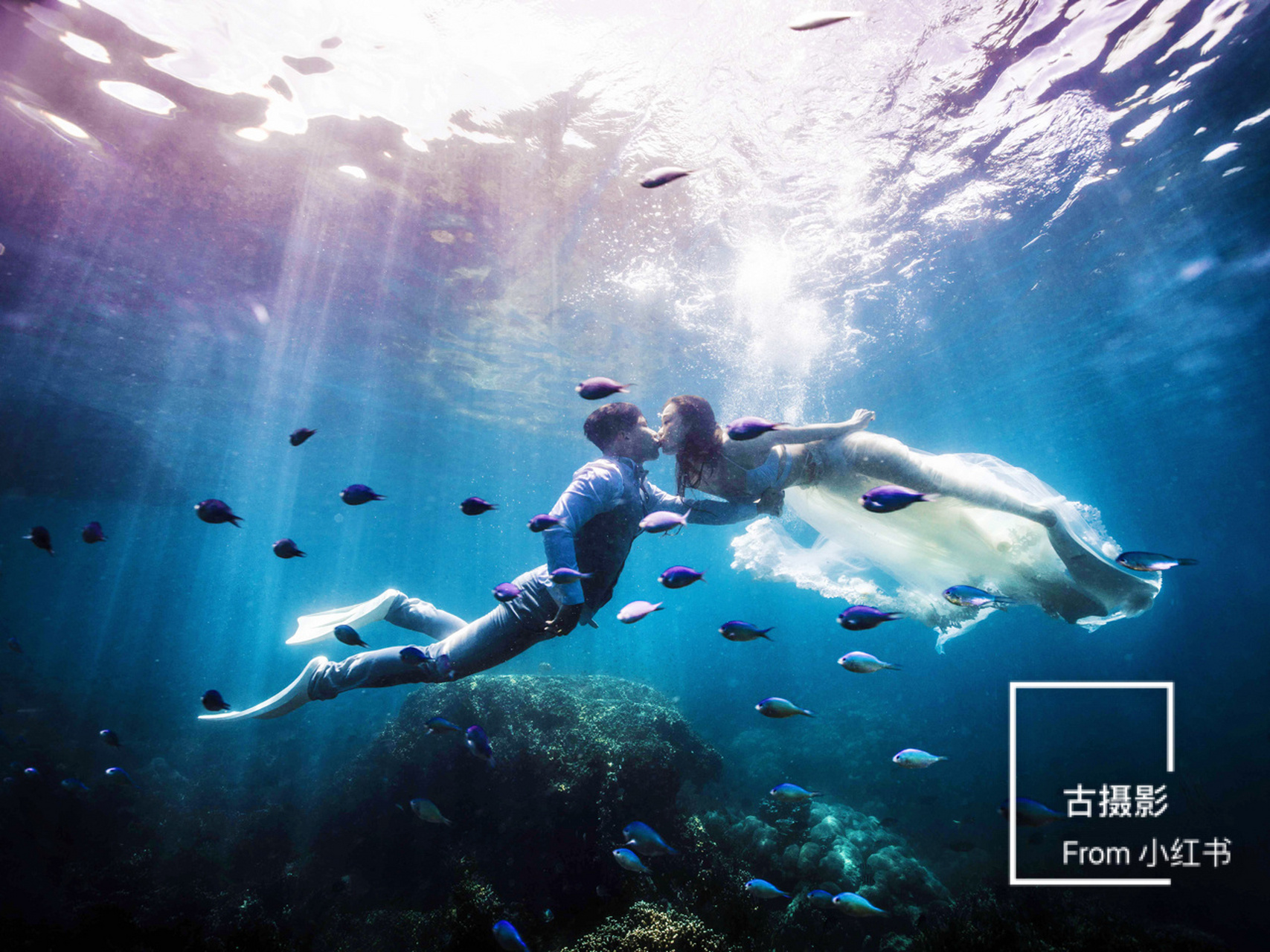旅拍 | 水下摄影婚纱照 摄于帕劳 #古摄影# #水下摄影