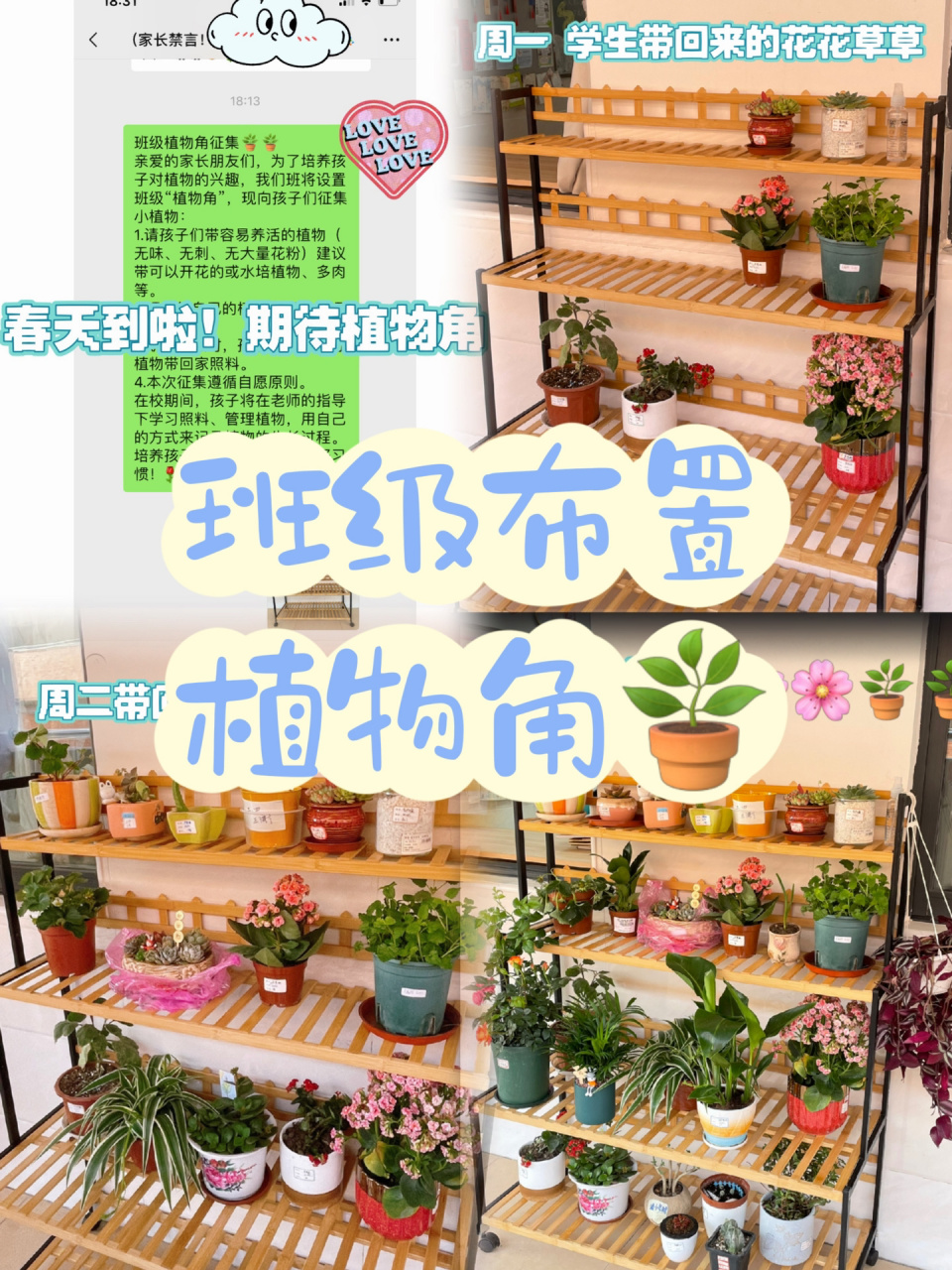 小学班级布置|植物角|每一天都值得收藏007815 771577