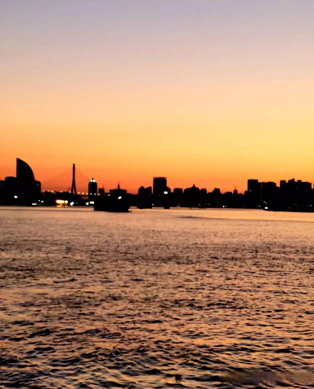 世界的亮点上海 带你降落上海 上海到底有多美