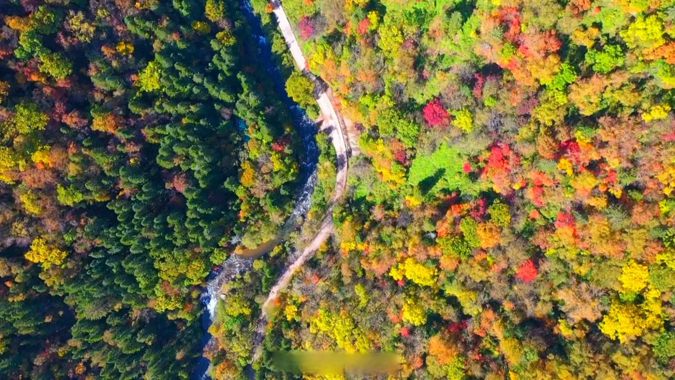 醉美吉线331# 这里是边境小城——吉林省白山市长白县!