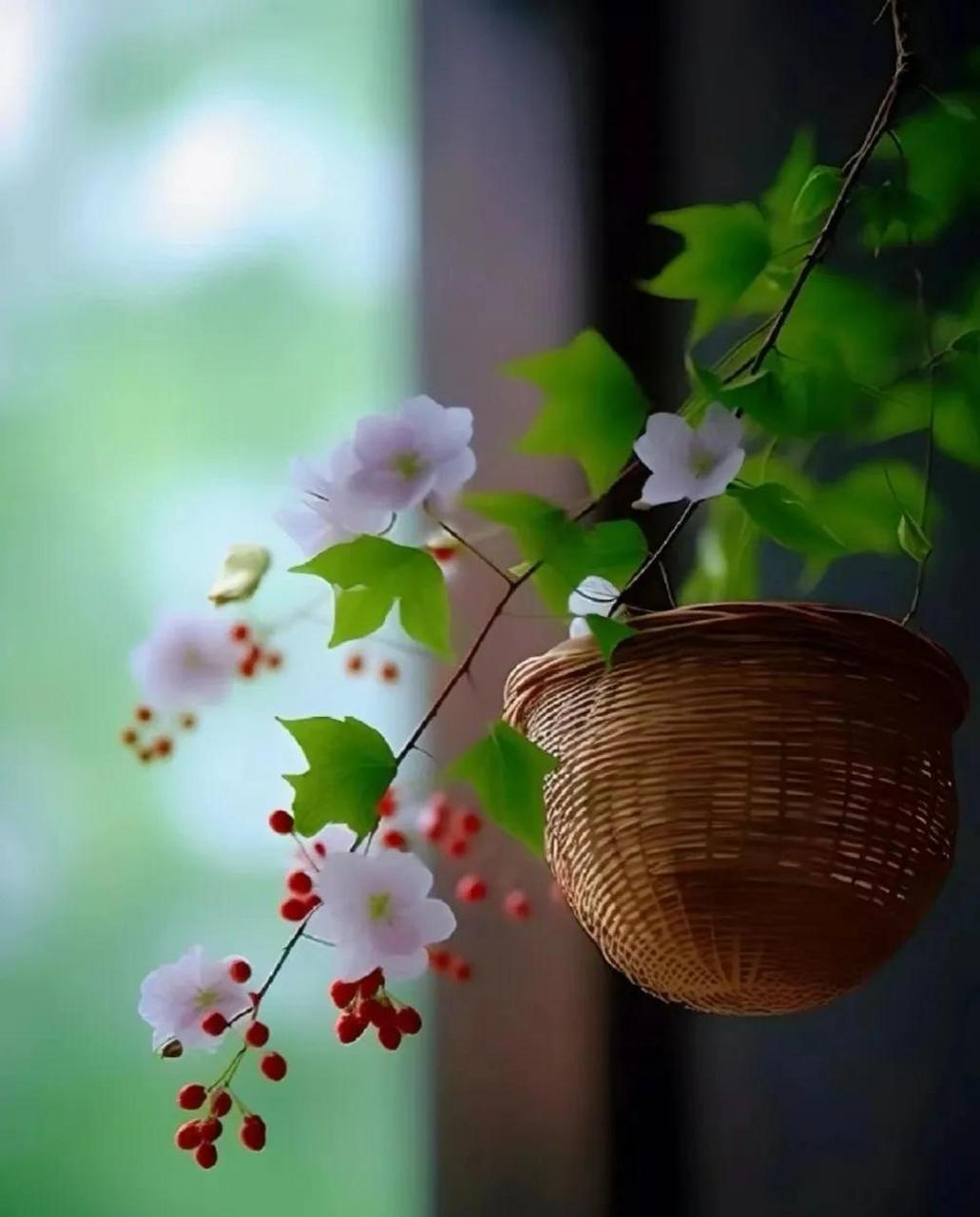 随着心的感觉 事前在因上努力 事后在果上顺遂 人生没有十全十美 每天