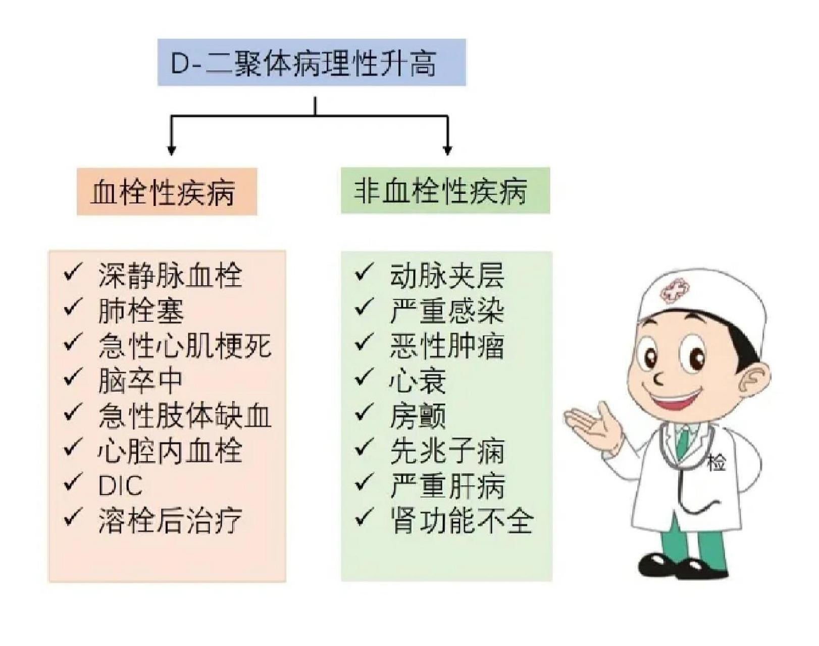 d2聚体高图片