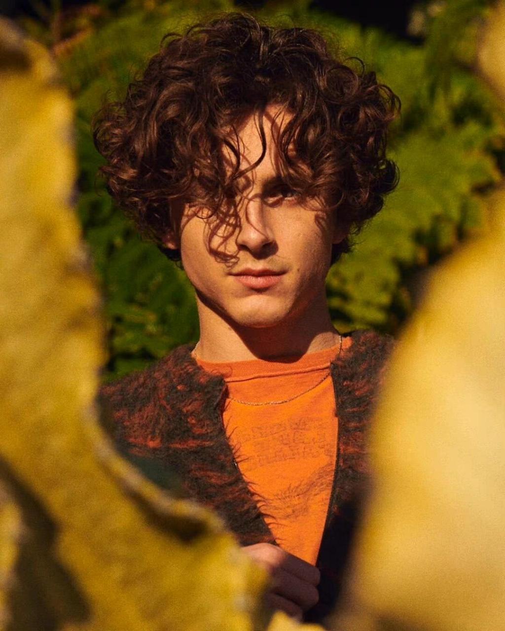 timothée chalamet