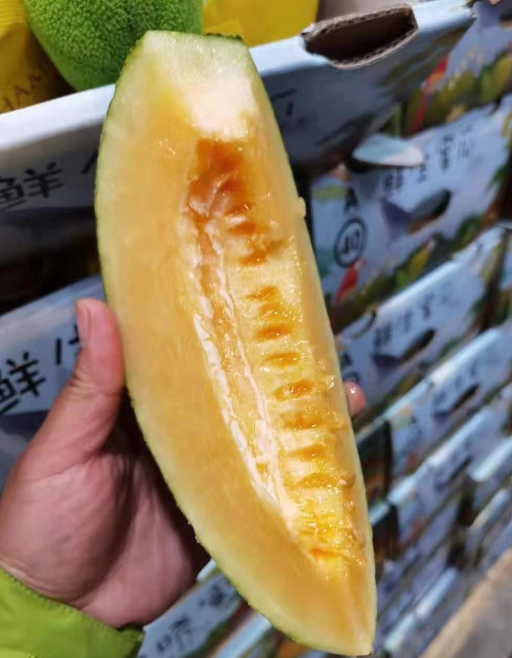 今日介绍:晓蜜 晓蜜瓜是哈密瓜品种之一,它果肉清脆,香甜美味,糖度更