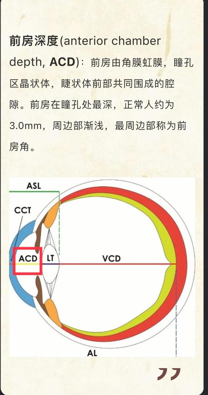 0mm,周边部渐浅,最周边部称为前房角.