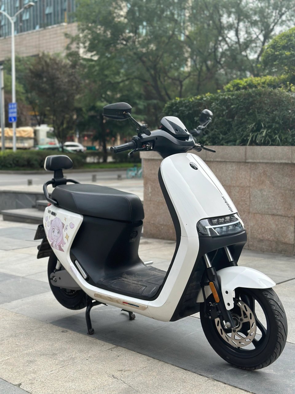 嘎嘎新双电两块原装锂电22年激活九号智能电动车e100两组电池,两把