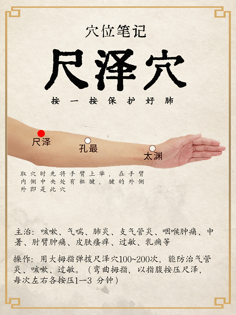 穴位学习每日打卡-7:尺泽穴 保护好肺