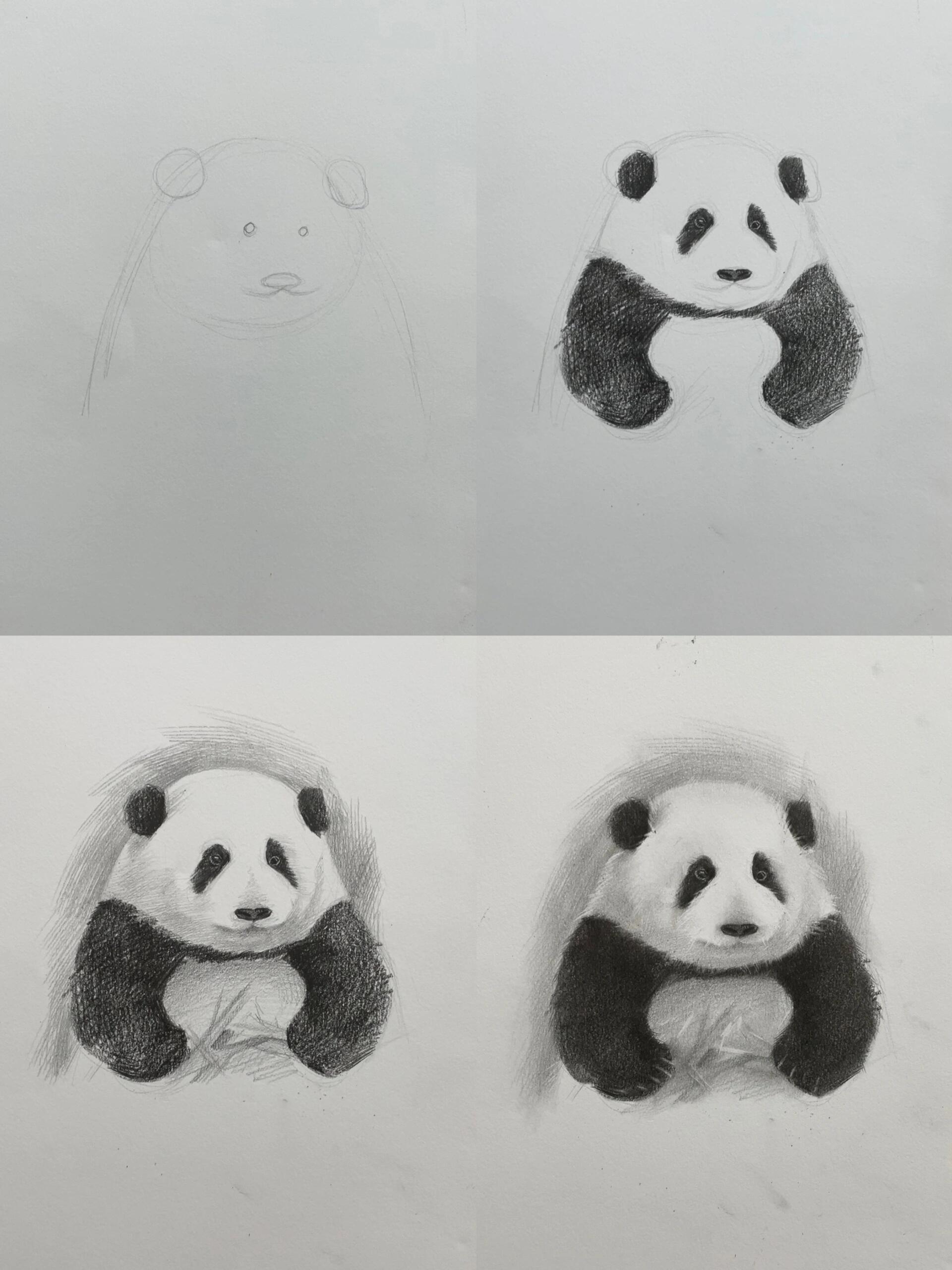 大熊猫"花花",素描教程来啦