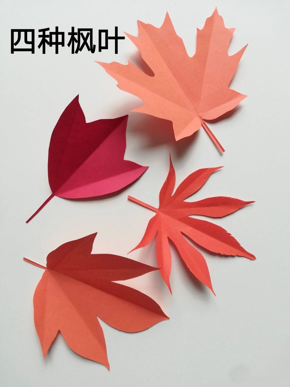 枫叶剪纸 四种不同做法 对边剪纸 简单手工 普通正方形折纸,对折,画出