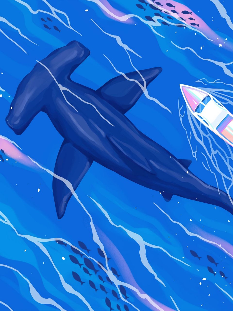原创插画 about blue 04 锤头鲨 一艘小船发现在浅海游动的锤头鲨