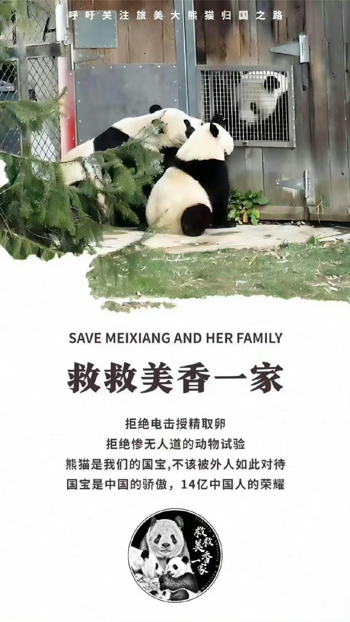 关注美香添添崽崽大熊猫一家#救救旅美大熊猫美香添添小奇迹一家