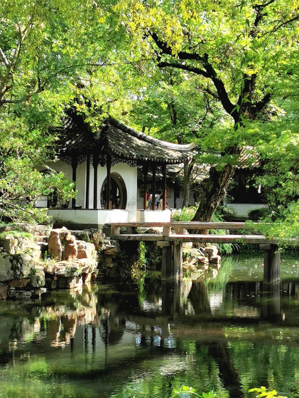 拙政园,别具一格的梧竹幽居亭 "梧竹幽居亭"位于苏州拙政园中园池塘的