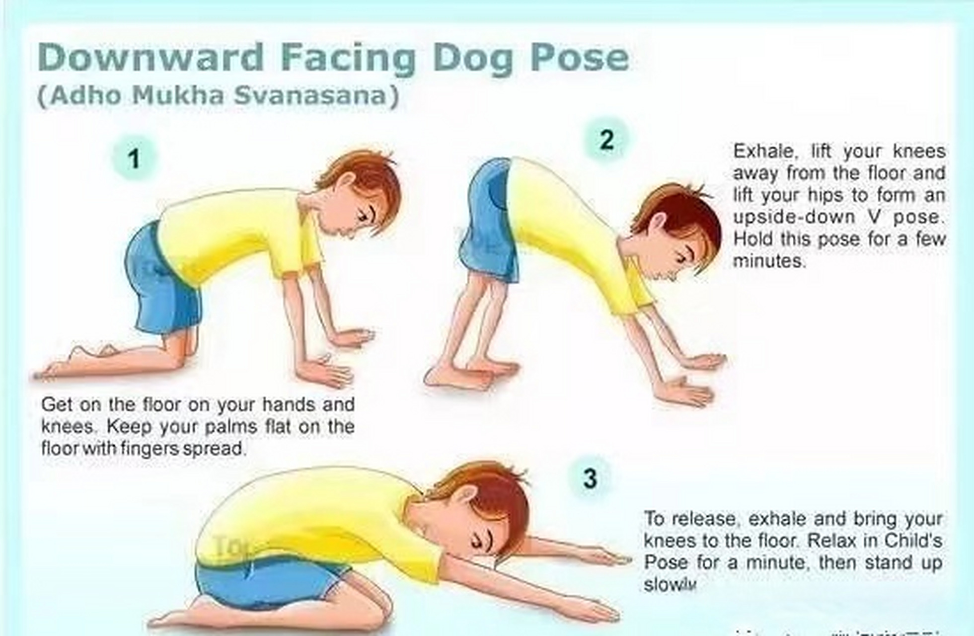 儿童瑜伽常用体式  下犬式 downward facing d1og pose  这个姿势通过