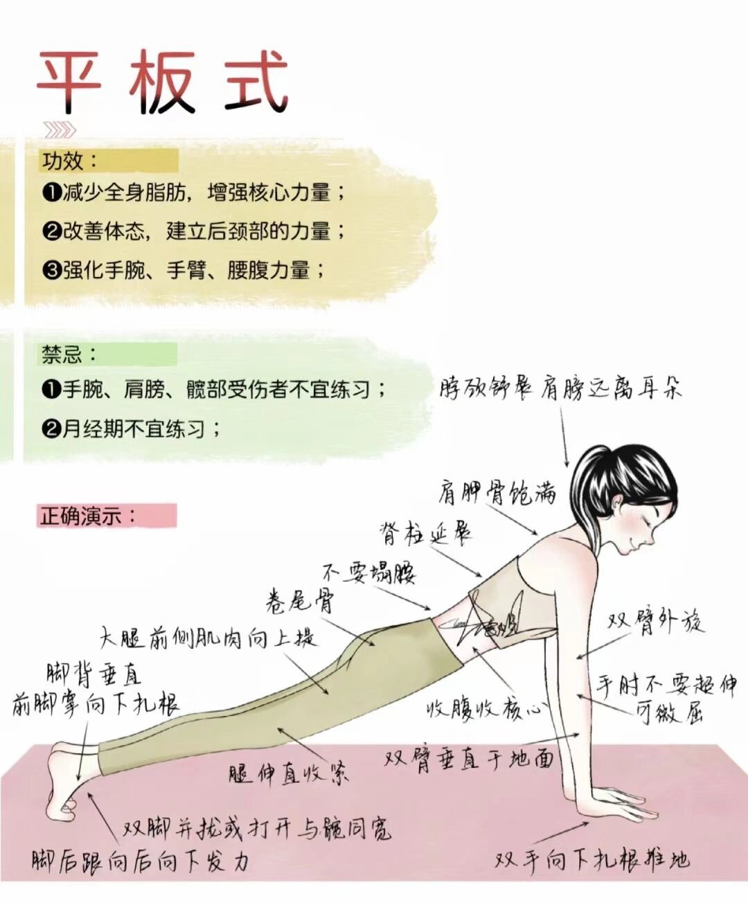 平板支撑的正确做法