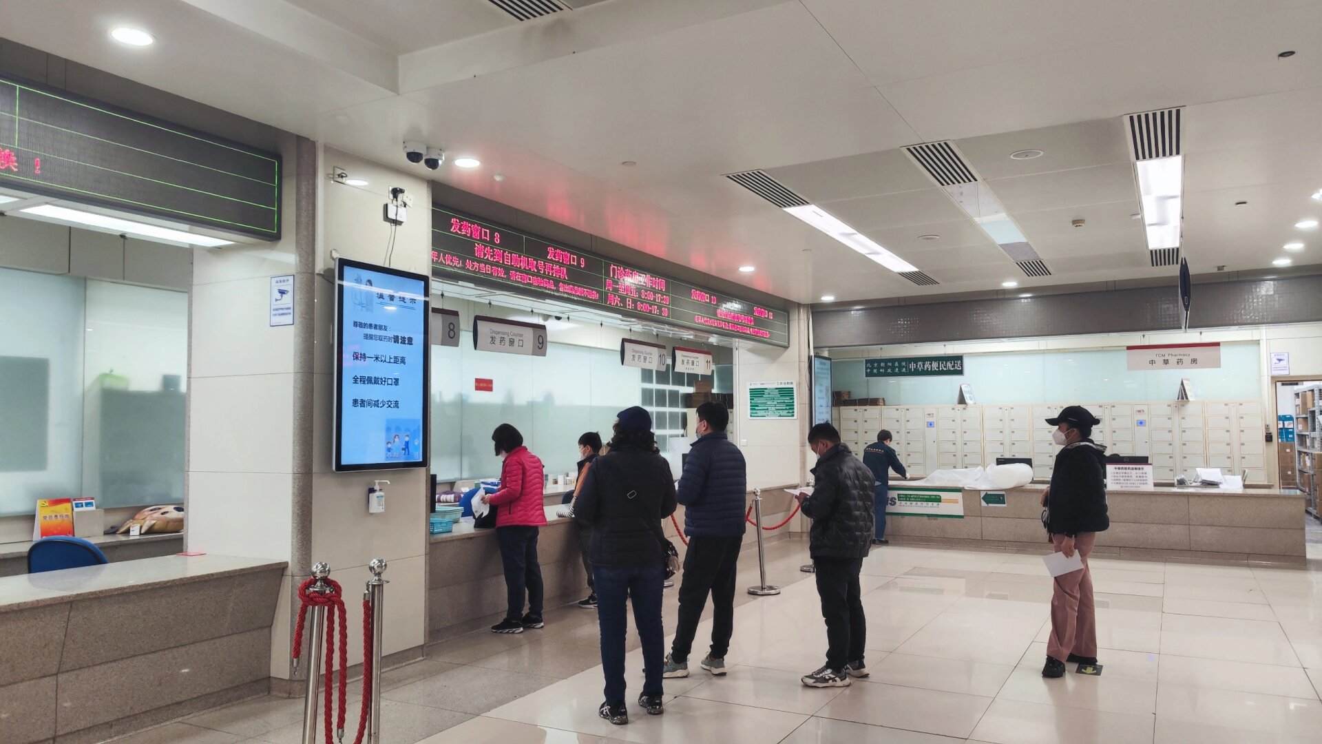 包含朝陽醫院醫院跑腿代辦醫院陪診，健康咨詢號販子電話，去北京看病指南必知的詞條