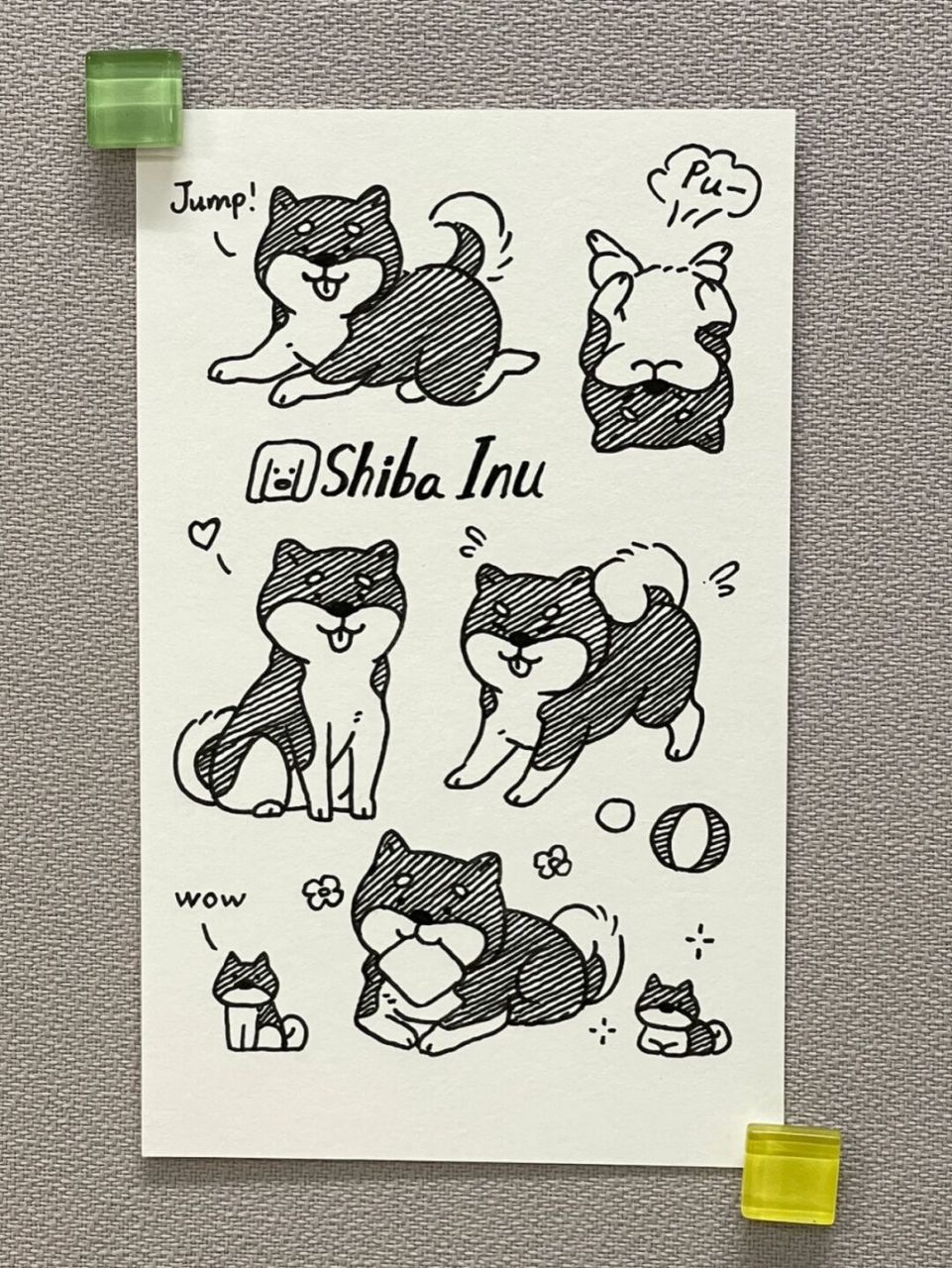 98狗狗简笔画100-11|柴犬 狗狗简笔画第11弹,今天是柴犬!