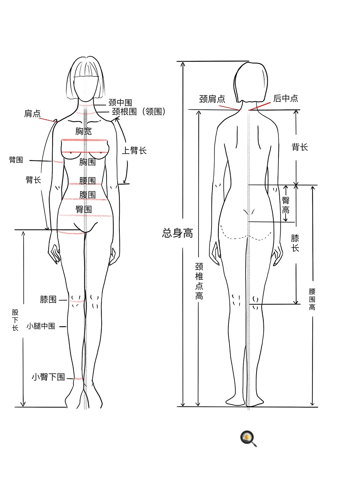 人体各个部位的名称图片