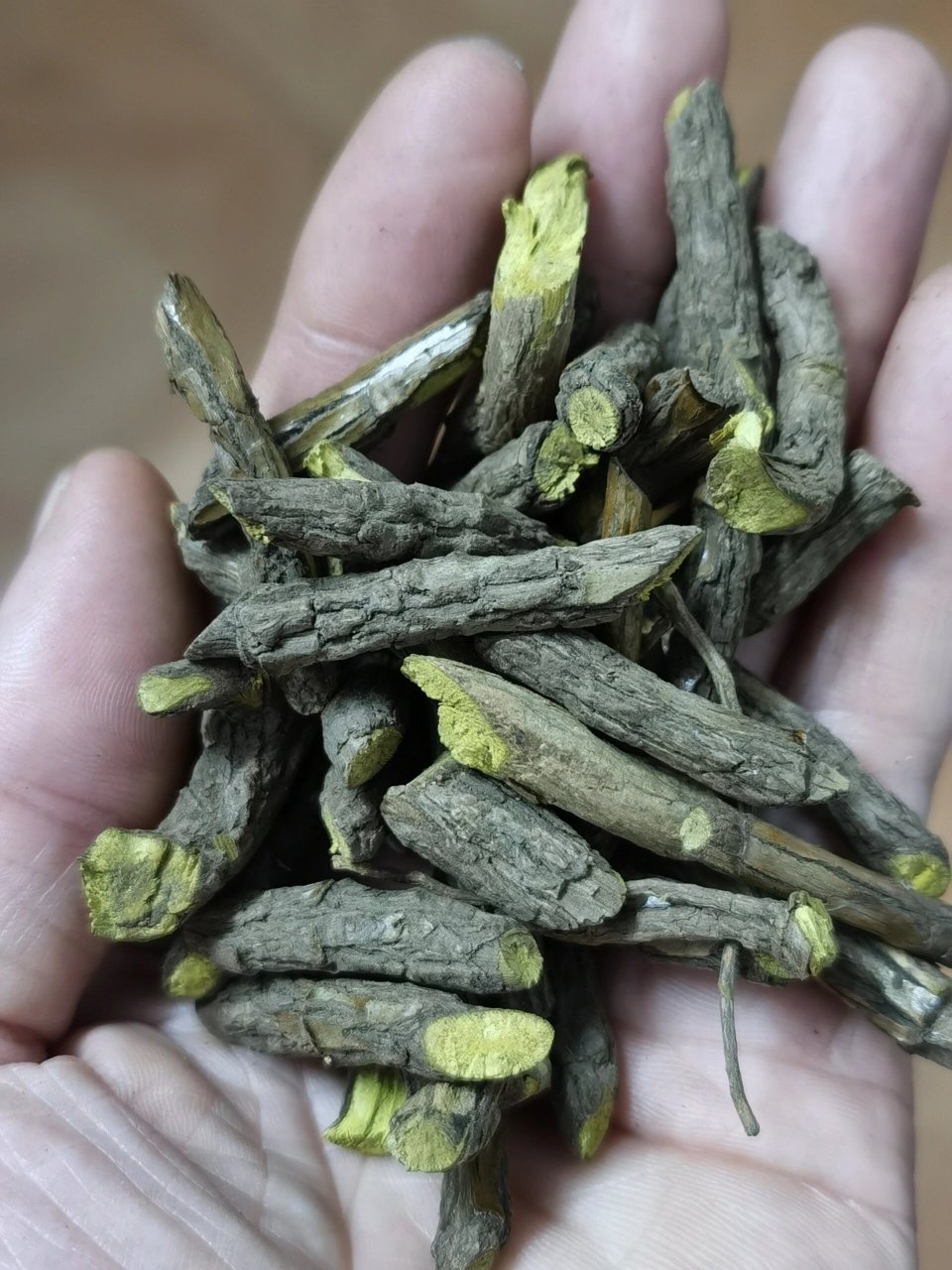 正宗的野生黄连 有多少人见过呀